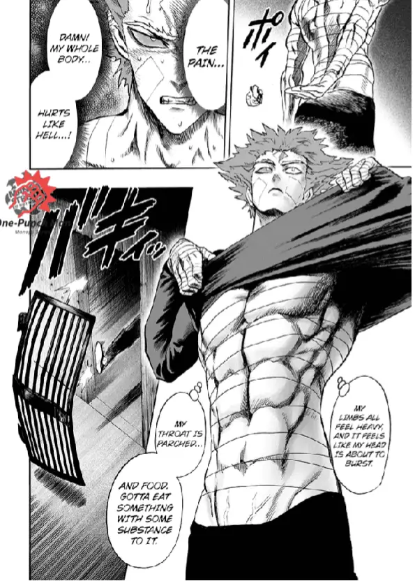 OPM(One Punch Man) Chapter 86.5